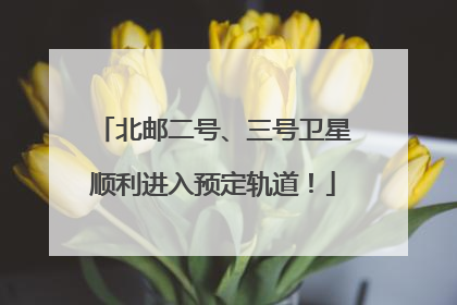 北邮二号、三号卫星顺利进入预定轨道！