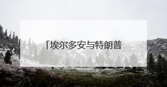 埃尔多安与特朗普通电话 就结束伊以冲突进行讨论