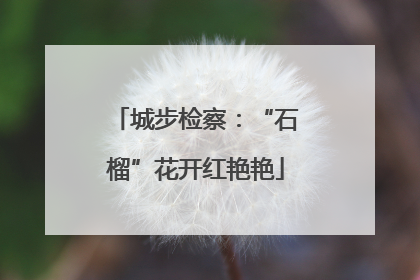 城步检察：“石榴”花开红艳艳