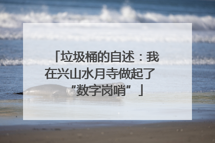 垃圾桶的自述：我在兴山水月寺做起了“数字岗哨”