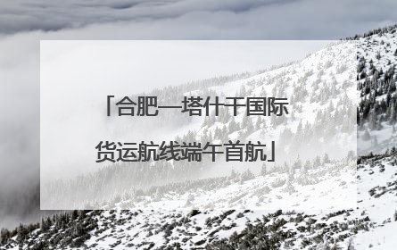 合肥—塔什干国际货运航线端午首航