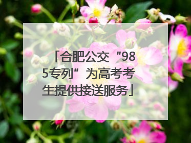 合肥公交“985专列”为高考考生提供接送服务