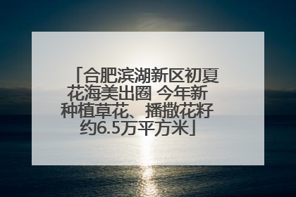 合肥滨湖新区初夏花海美出圈 今年新种植草花、播撒花籽约6.5万平方米
