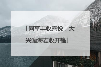 同享丰收喜悦，大兴瀛海麦收开镰