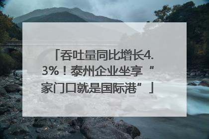 吞吐量同比增长4.3%！泰州企业坐享“家门口就是国际港”