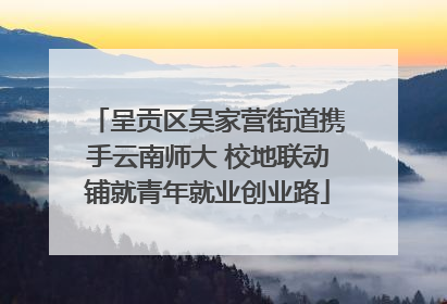 呈贡区吴家营街道携手云南师大 校地联动铺就青年就业创业路
