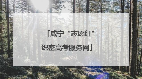 咸宁“志愿红”织密高考服务网