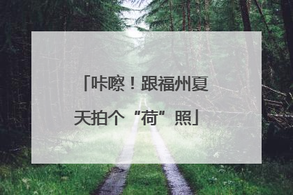 咔嚓！跟福州夏天拍个“荷”照