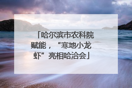 哈尔滨市农科院赋能，“寒地小龙虾”亮相哈洽会
