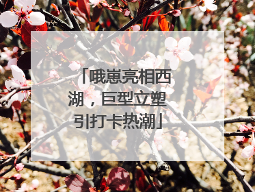 哦崽亮相西湖，巨型立塑引打卡热潮