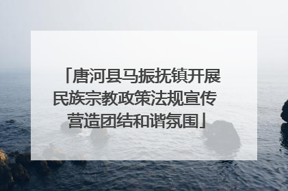 唐河县马振抚镇开展民族宗教政策法规宣传 营造团结和谐氛围