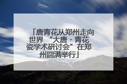 唐青花从郑州走向世界 “大唐・青花瓷学术研讨会”在郑州圆满举行