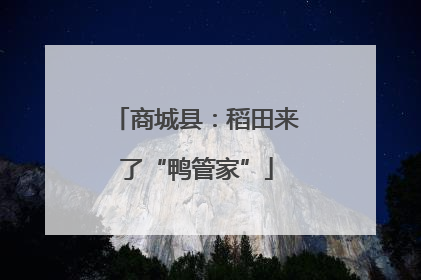 商城县：稻田来了“鸭管家”