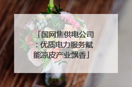 国网焦供电公司：优质电力服务赋能凉皮产业飘香