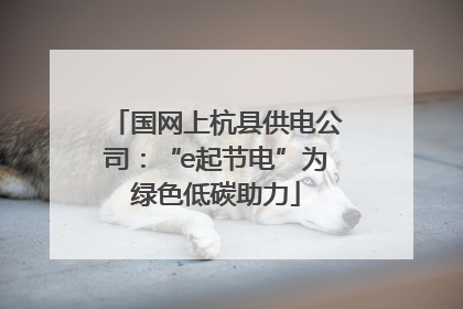 国网上杭县供电公司：“e起节电”为绿色低碳助力