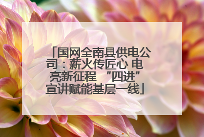 国网全南县供电公司：薪火传匠心 电亮新征程 “四进”宣讲赋能基层一线