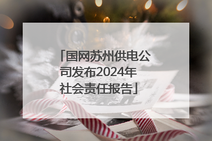 国网苏州供电公司发布2024年社会责任报告