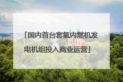 国内首台套氢内燃机发电机组投入商业运营