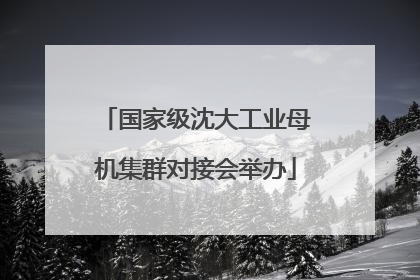 国家级沈大工业母机集群对接会举办
