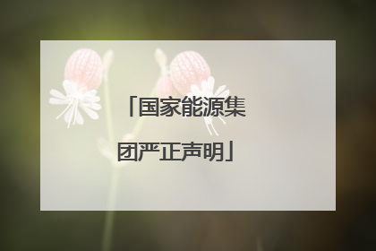 国家能源集团严正声明