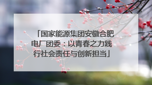 国家能源集团安徽合肥电厂团委：以青春之力践行社会责任与创新担当