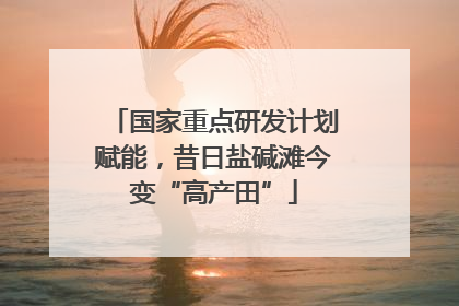 国家重点研发计划赋能，昔日盐碱滩今变“高产田”