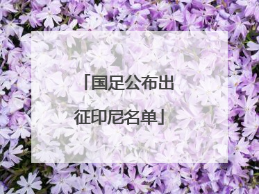 国足公布出征印尼名单