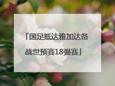 国足抵达雅加达备战世预赛18强赛