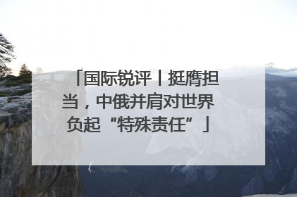 国际锐评丨挺膺担当，中俄并肩对世界负起“特殊责任”