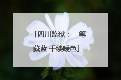 四川监狱：一笔藏蓝 千缕暖色