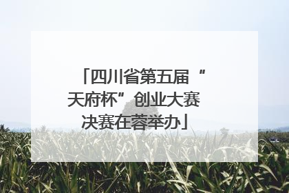 四川省第五届“天府杯”创业大赛决赛在蓉举办