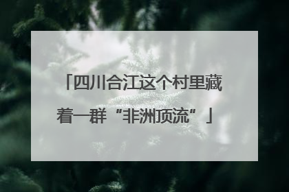 四川合江这个村里藏着一群“非洲顶流”