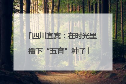 四川宜宾：在时光里播下“五育”种子