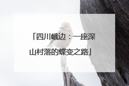 四川峨边：一座深山村落的蝶变之路