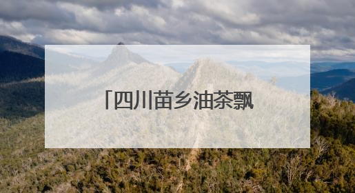 四川苗乡油茶飘香 民族类资金助力乡村振兴