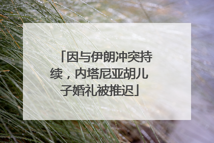 因与伊朗冲突持续，内塔尼亚胡儿子婚礼被推迟