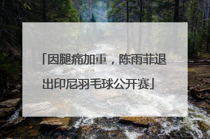 因腿痛加重，陈雨菲退出印尼羽毛球公开赛
