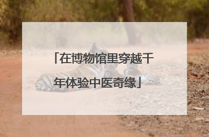 在博物馆里穿越千年体验中医奇缘