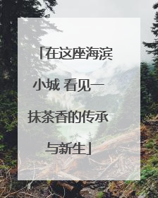 在这座海滨小城 看见一抹茶香的传承与新生