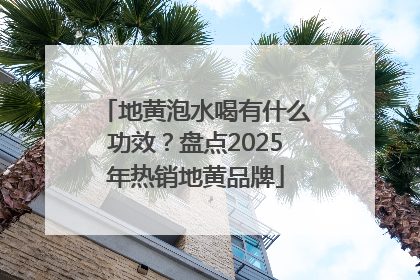 地黄泡水喝有什么功效？盘点2025年热销地黄品牌