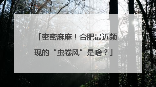 密密麻麻！合肥最近频现的“虫卷风”是啥？