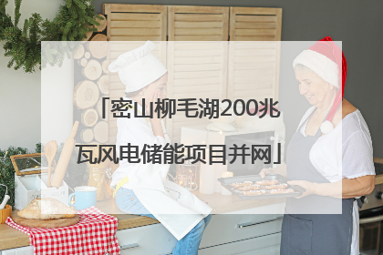 密山柳毛湖200兆瓦风电储能项目并网