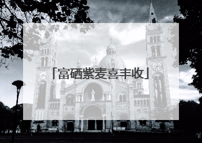 富硒紫麦喜丰收