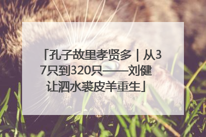 孔子故里孝贤多｜从37只到320只——刘健让泗水裘皮羊重生
