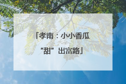 孝南：小小香瓜 “甜”出富路