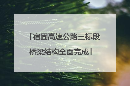 宿固高速公路三标段桥梁结构全面完成