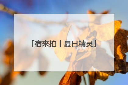 宿来拍丨夏日精灵