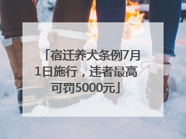 宿迁养犬条例7月1日施行，违者最高可罚5000元