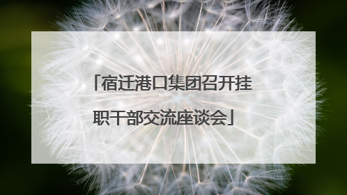 宿迁港口集团召开挂职干部交流座谈会