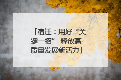 宿迁：用好“关键一招” 释放高质量发展新活力